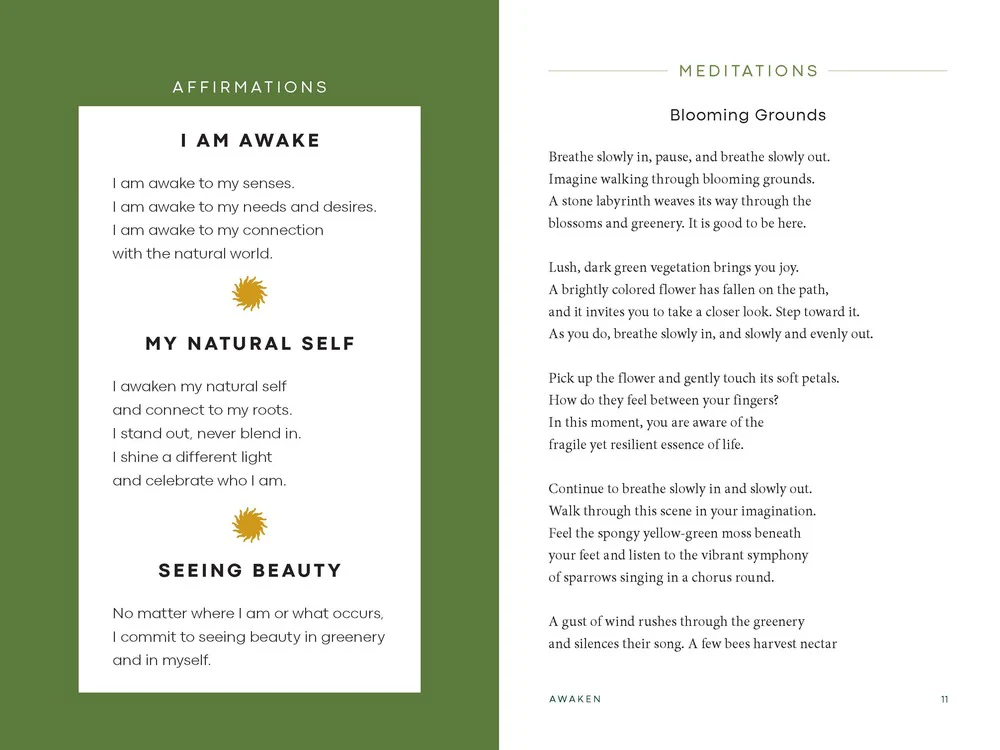 Turn to the Sun: Your Guide to Release Stress and Cultivate Better Health Through Nature - Image 5