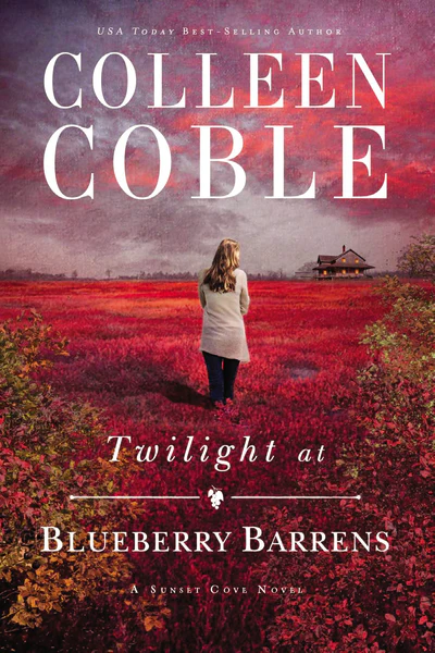 Twilight at Blueberry Barrens - Image 3