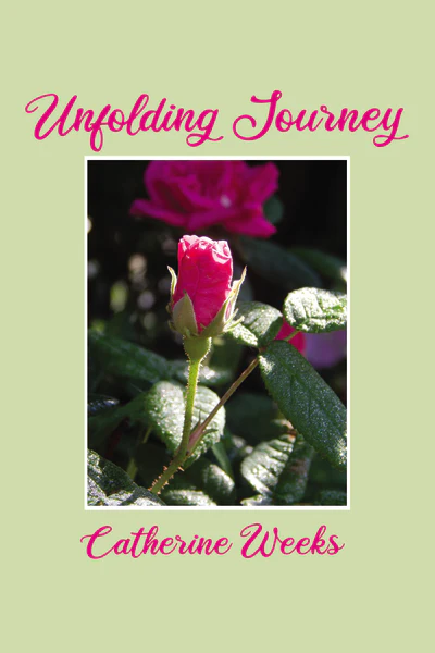 Unfolding Journey - Image 2