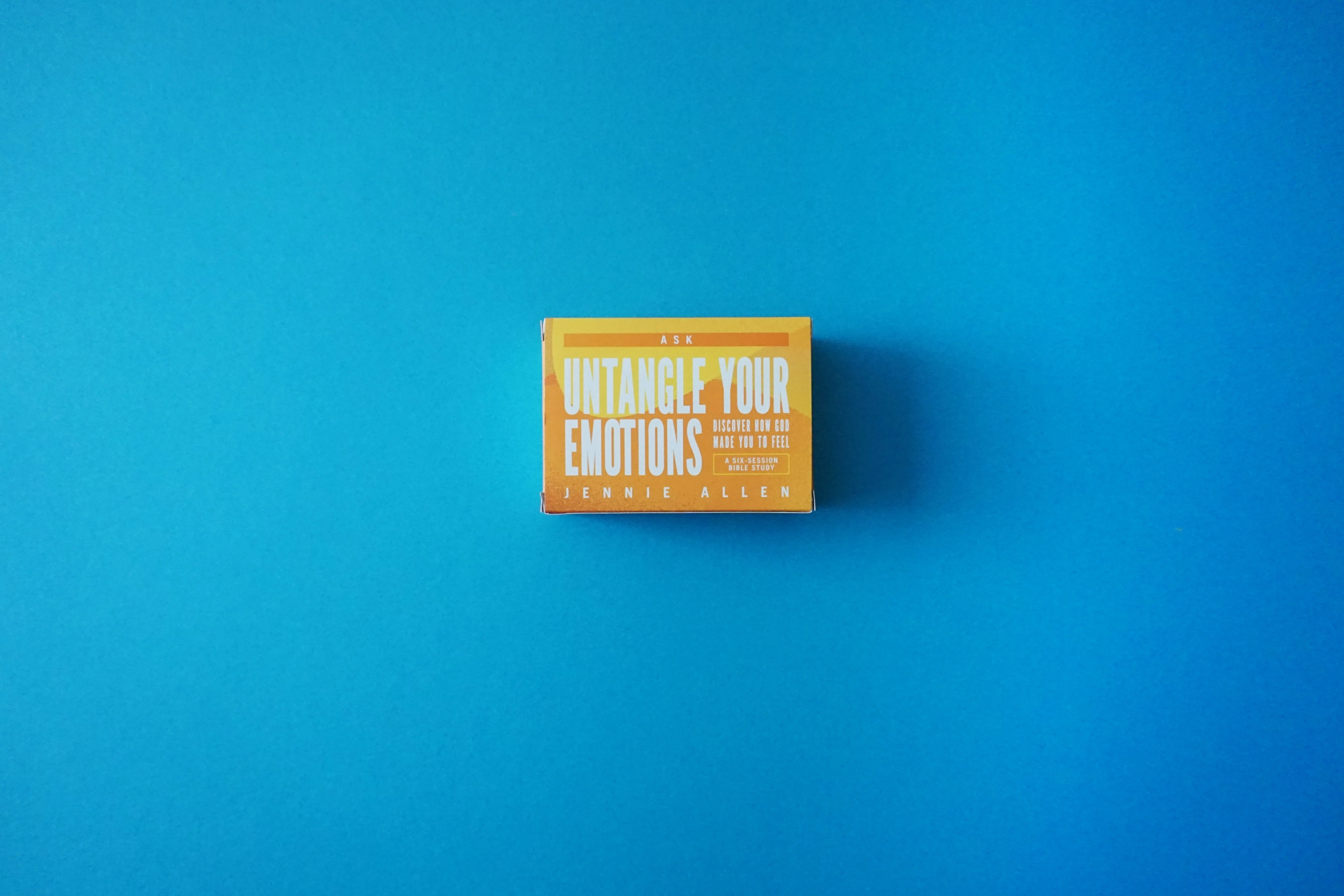 Untangle Your Emotions Study Guide + Conversation Cards Bundle - Image 3