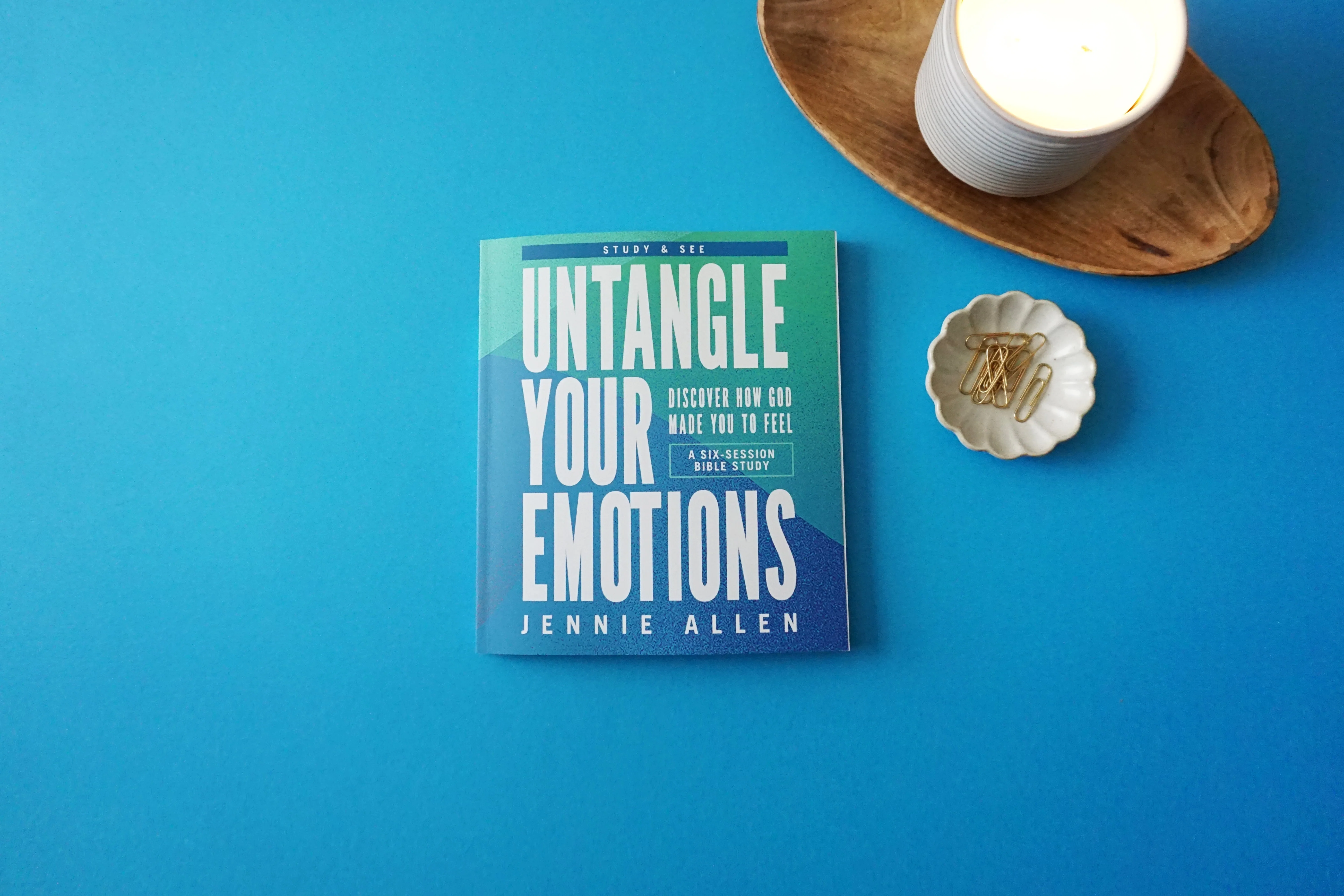 Untangle Your Emotions Study Guide + Conversation Cards Bundle - Image 5