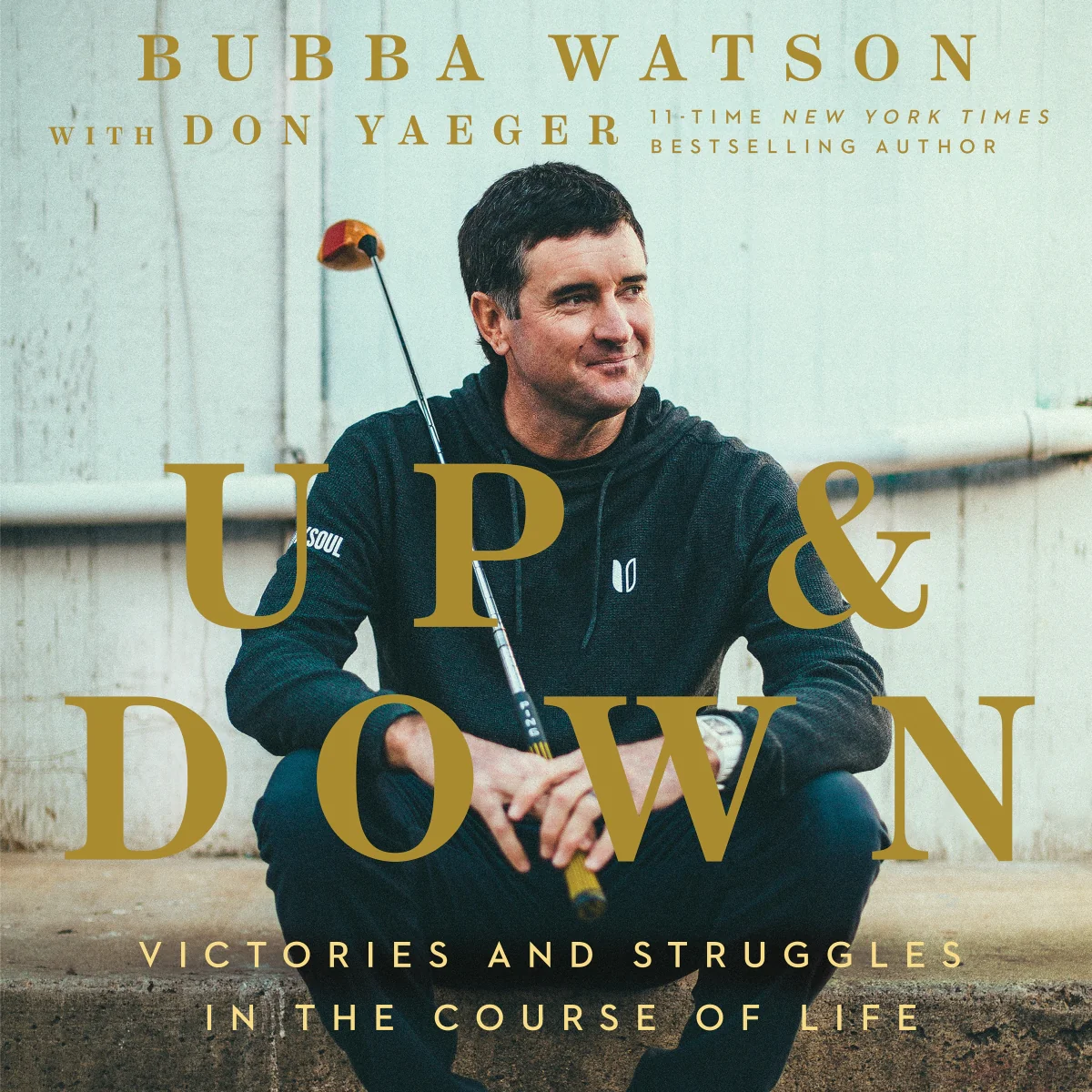 Up and Down: Victories and Struggles in the Course of Life - Audiobook (Unabridged)