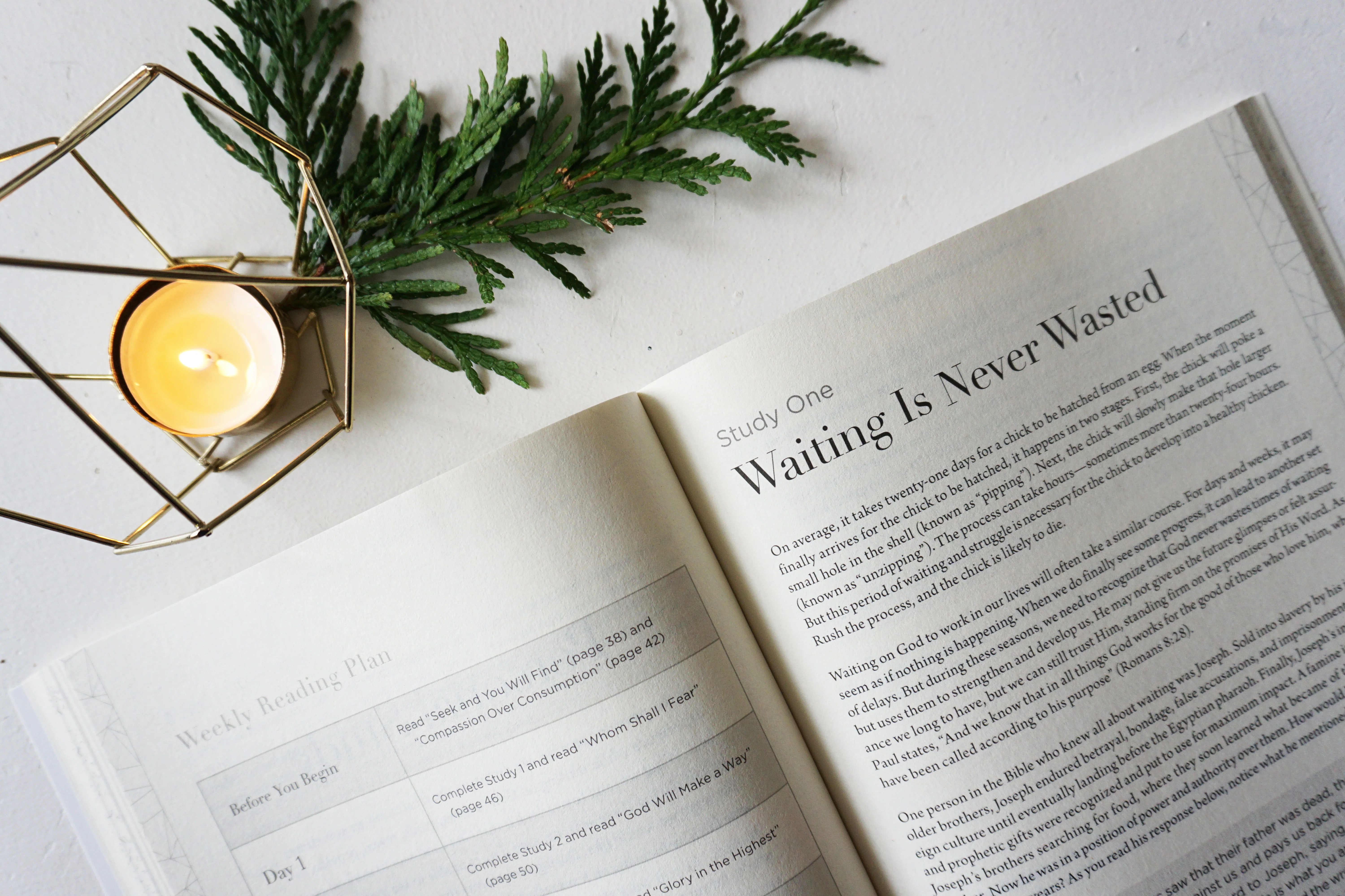 Waiting Here for You Study Guide + Devotional Bundle - Image 6