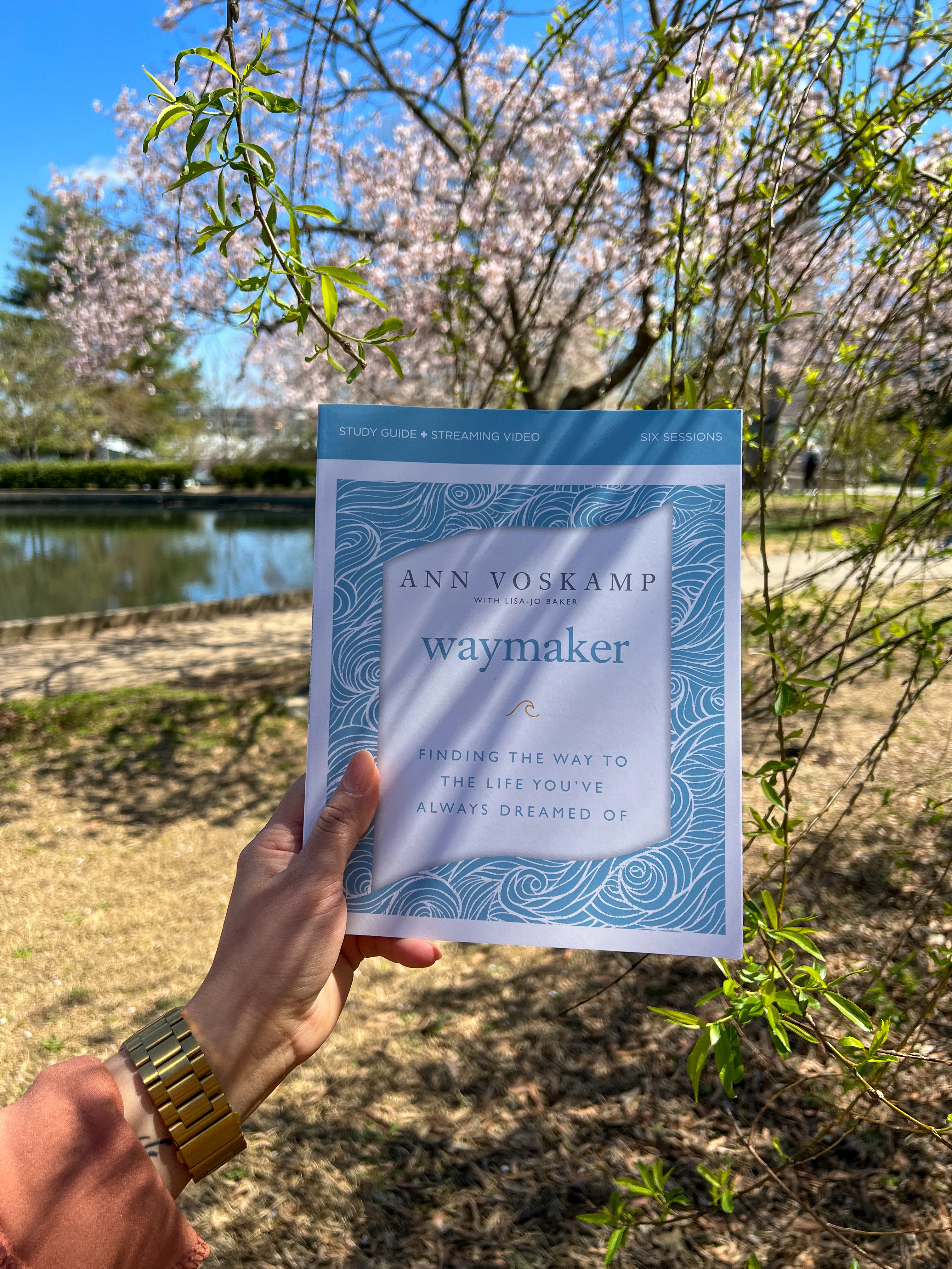 WayMaker Bible Study Guide plus Streaming Video: Finding the Way to the Life You’ve Always Dreamed Of - Image 4