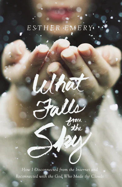 What Falls from the Sky: How I Disconnected from the Internet and Reconnected with the God Who Made the Clouds - Image 2