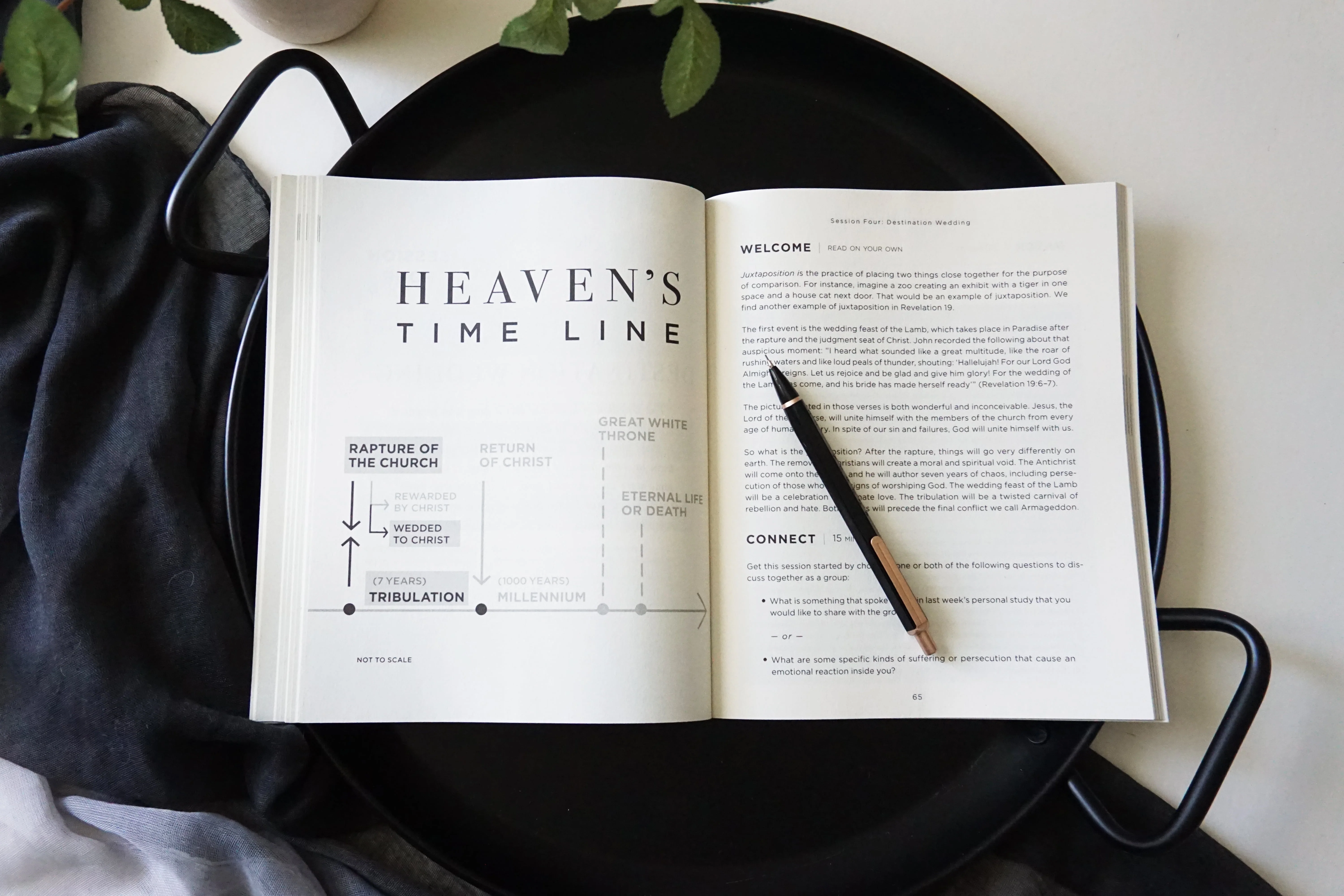 What Happens Next Bible Study Guide plus Streaming Video: A Traveler’s Guide through the End of This Age - Image 8