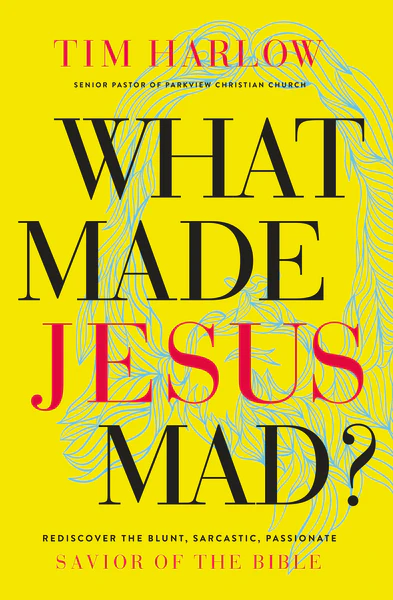 What Made Jesus Mad?: Rediscover the Blunt, Sarcastic, Passionate Savior of the Bible