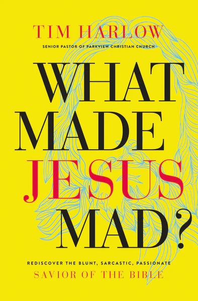What Made Jesus Mad?: Rediscover the Blunt, Sarcastic, Passionate Savior of the Bible - Image 2