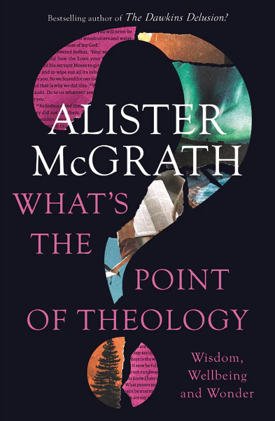 What's the Point of Theology?: Wisdom, Wellbeing and Wonder - Image 2