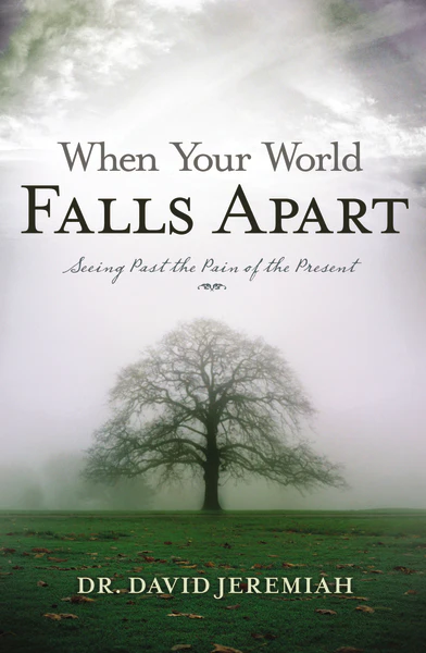 When Your World Falls Apart: See Past the Pain of the Present - Image 2