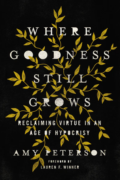 Where Goodness Still Grows: Reclaiming Virtue in an Age of Hypocrisy - Image 2
