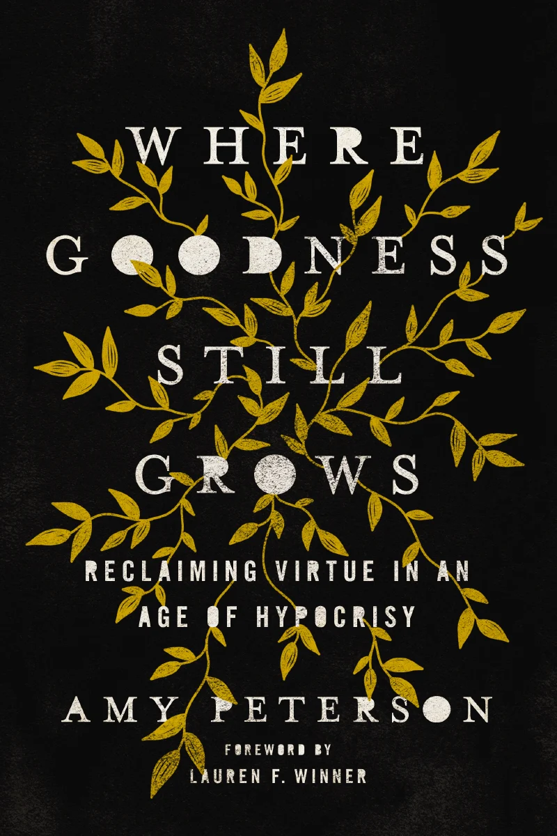 Where Goodness Still Grows: Reclaiming Virtue in an Age of Hypocrisy - Image 6