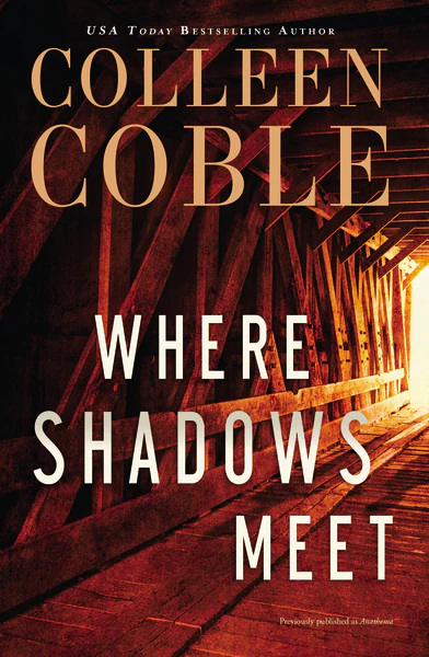 Where Shadows Meet: A Romantic Suspense Novel - Image 2