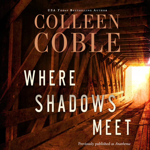 Where Shadows Meet: A Romantic Suspense Novel - Audiobook (Unabridged)