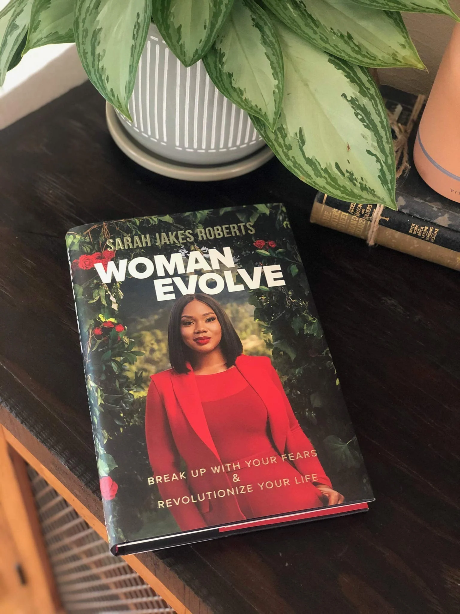 Woman Evolve: Break Up with Your Fears & Revolutionize Your Life - Image 5