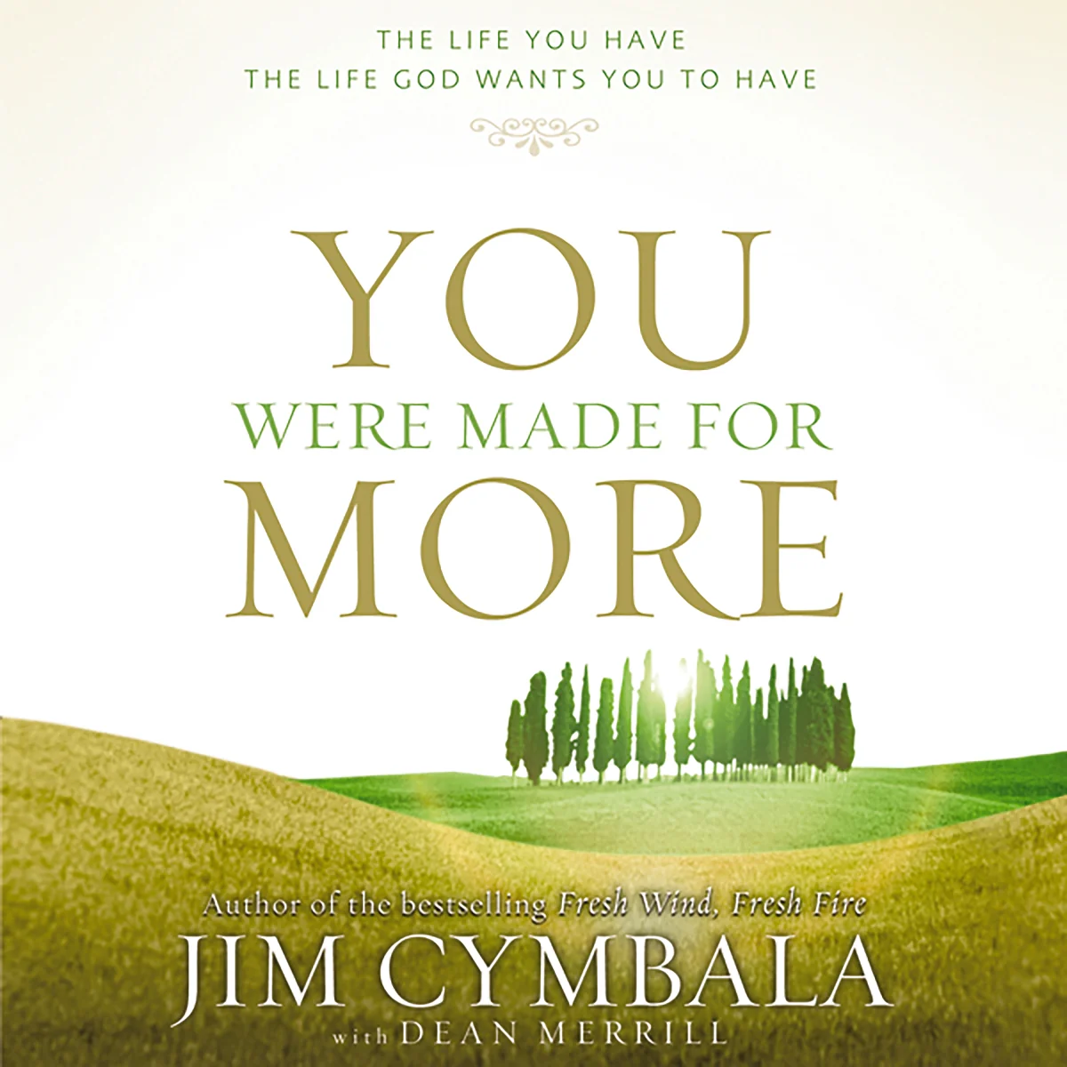 You Were Made for More: The Life You Have, the Life God Wants You to Have - Audiobook (Unabridged)