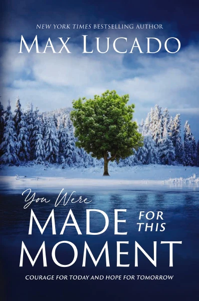 You Were Made for This Moment: Courage for Today and Hope for Tomorrow - Image 3